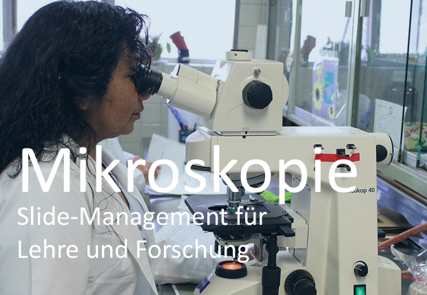 Mikroskopie-Slides für Lehre und Forschung