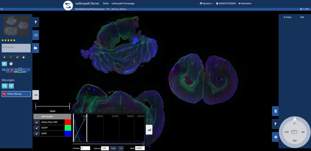 etScope® CZIMikroskop-Slides Betrachter - Webviewer